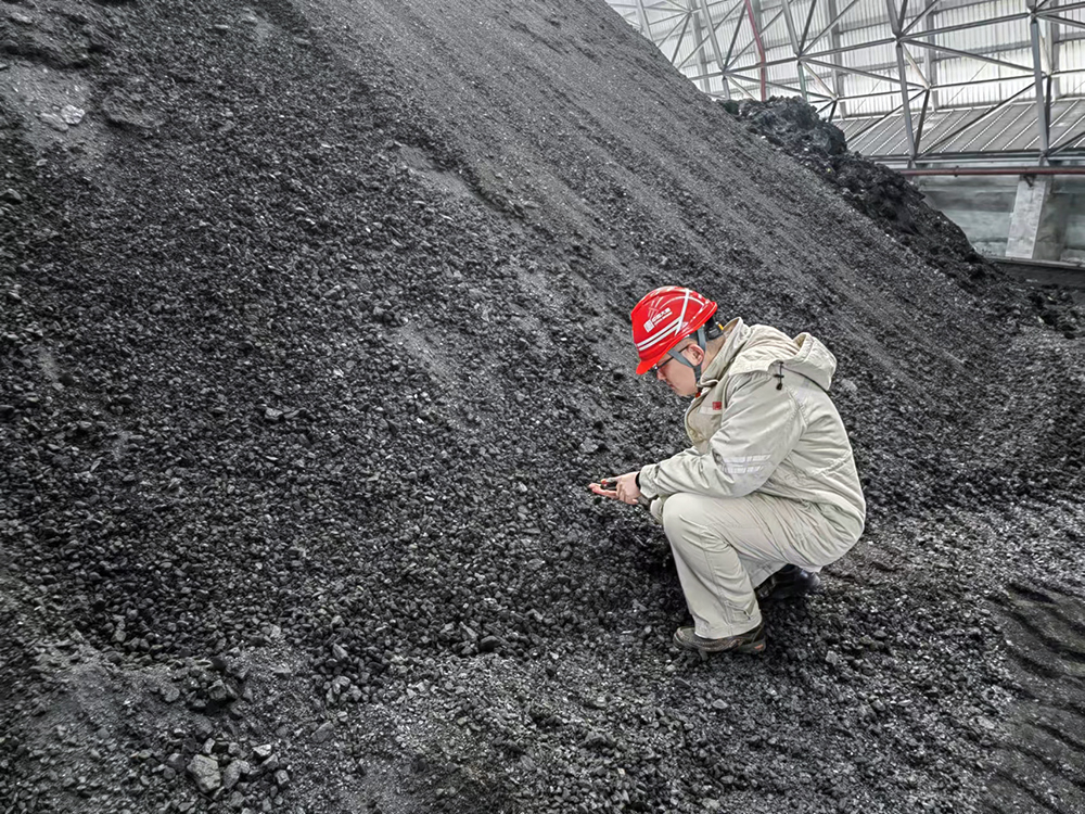 3-大唐東營發(fā)電公司職工查看煤炭煤質情況a.jpg