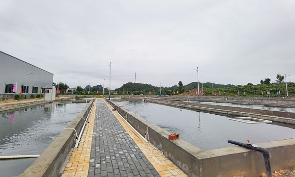 1626310213334057629.jpg 養(yǎng)魚(yú)1.jpg