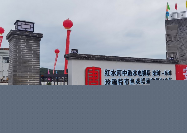 1626310228356030007.jpg 養(yǎng)魚(yú)2.jpg